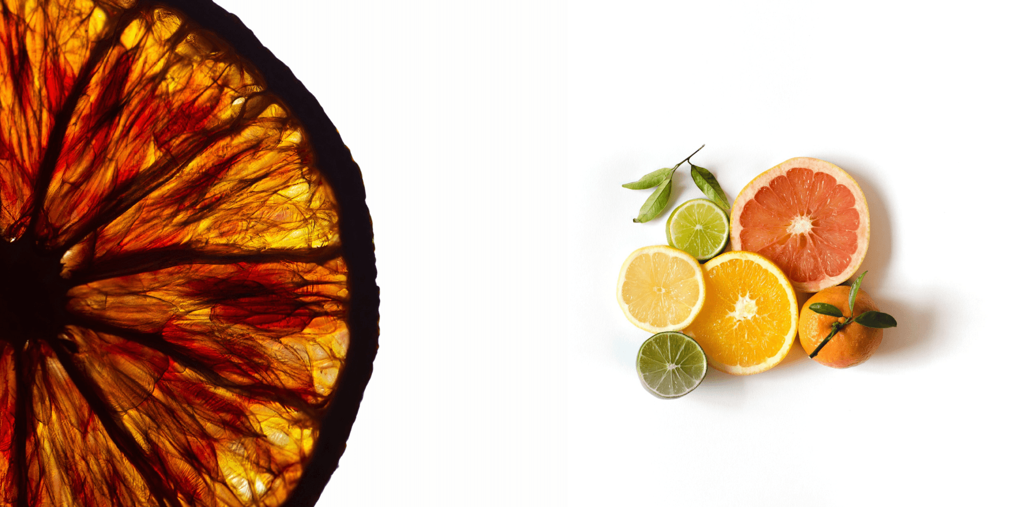 https://thegarnishco.shop/cdn/shop/files/citrus-fruit-garnish-for-bars-and-restaurant_a38e84af-d31e-4fa9-833a-f2420c9bf9af.png?v=1697072918&width=3840